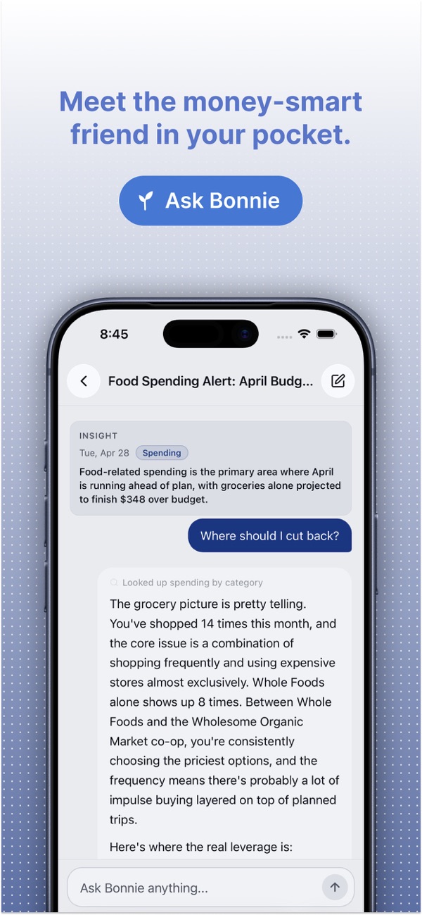 Chatting with Bonnie, the AI financial assistant